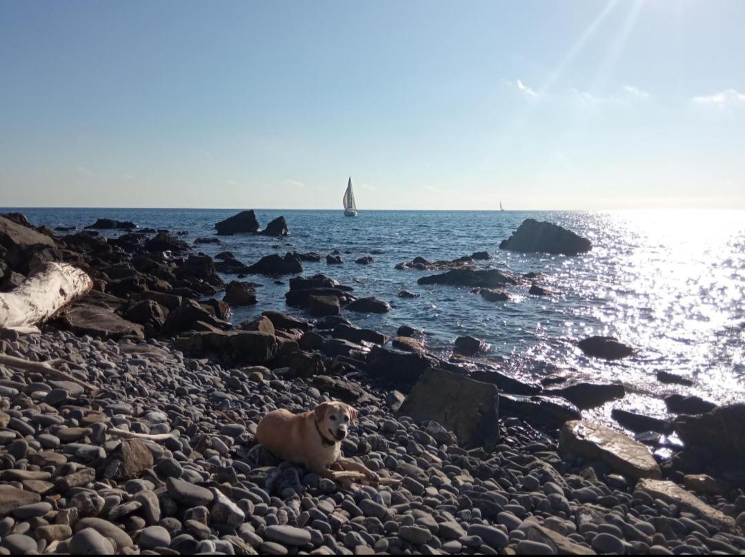 Cluxury-Torre Dei Saraceni Boutique Apt By The Sea Beach, Pool,Private Jacuzzi, Parking Черво Экстерьер фото